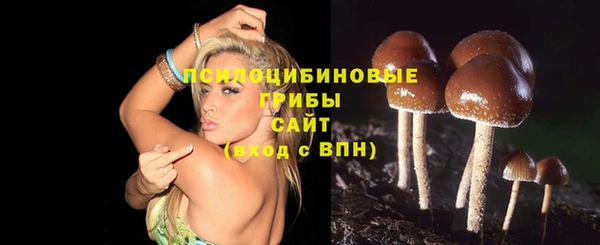 дурь Алексеевка
