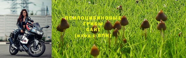 бутират Алзамай