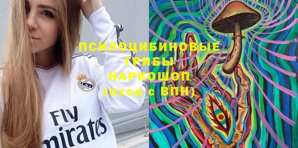 бутират Алзамай