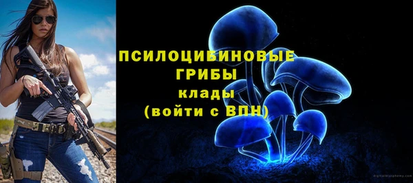 спайс Абаза