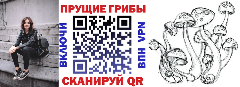 Псилоцибиновые грибы мицелий магазин продажи наркотиков Котово