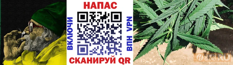 Марихуана план Котово